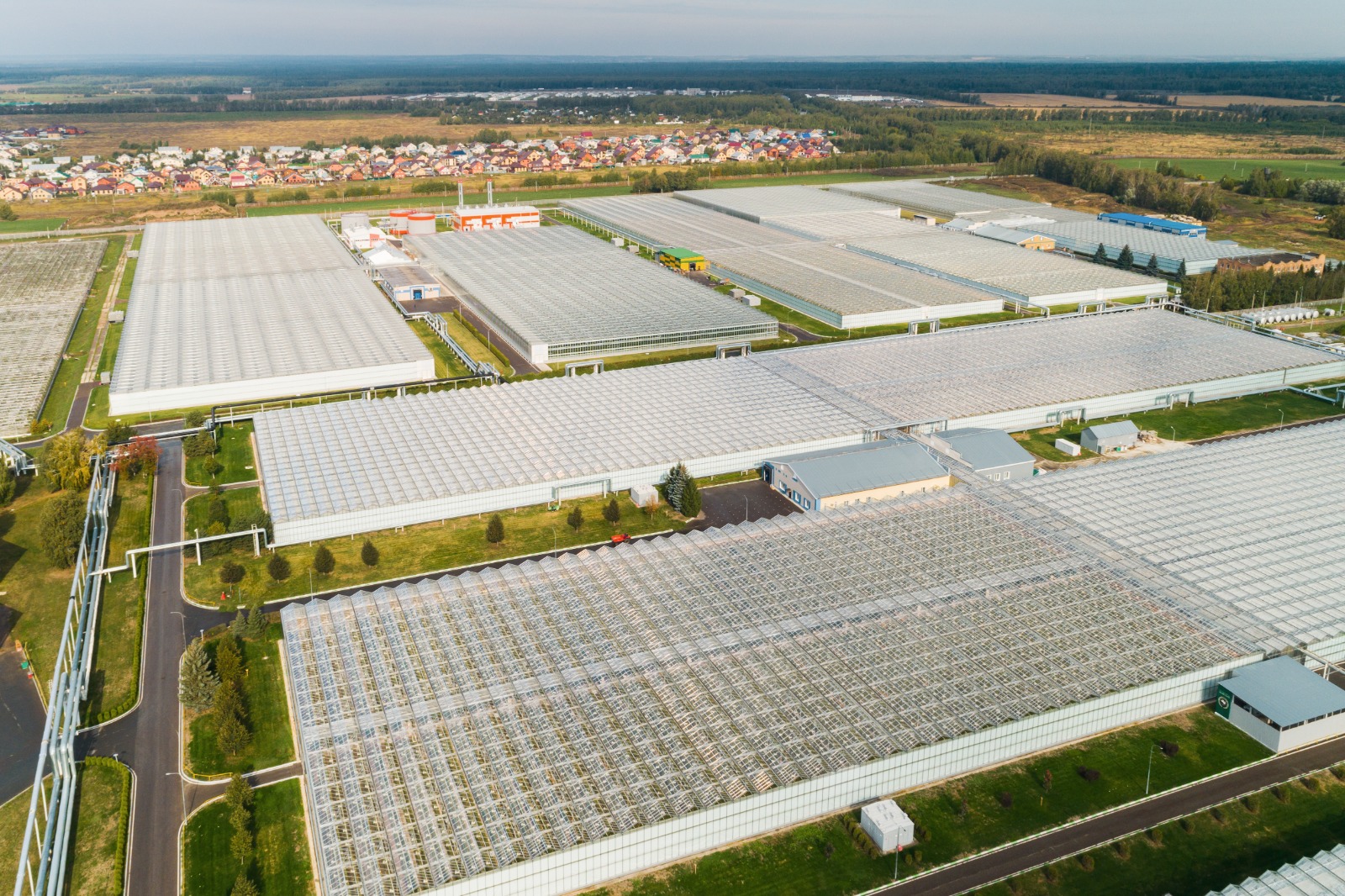 Технологии без границ