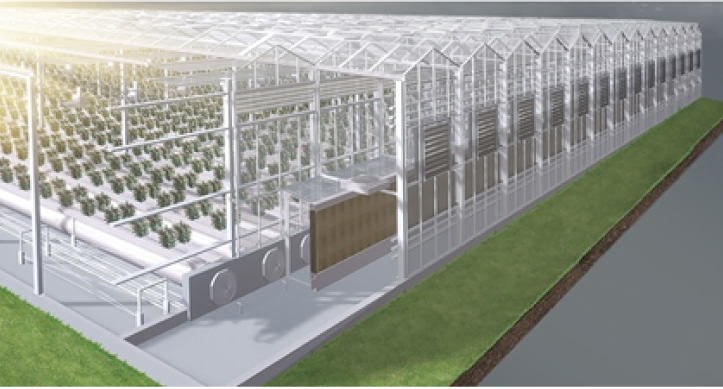 Инновационное решение для тепличной отрасли