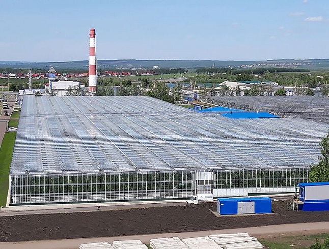 АО «Тепличное»