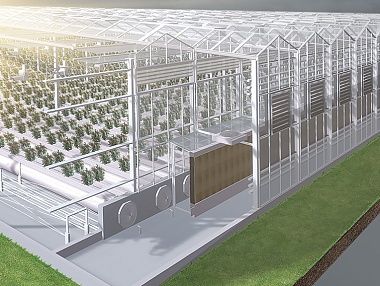 Компания «АГРИСОВГАЗ» - крупнейший отечественный производитель и интегратор всех систем тепличного комплекса