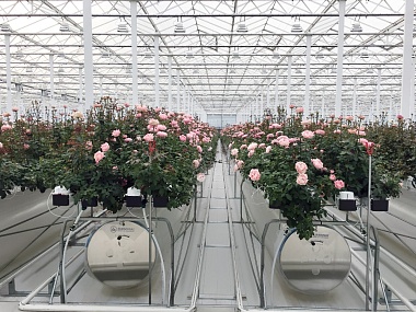 Тепличные инновации